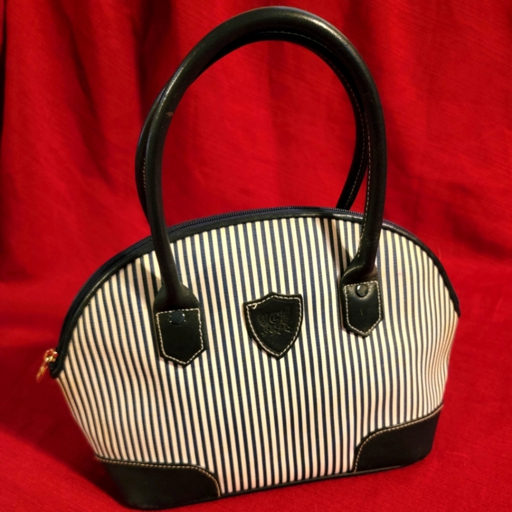 Blue and White Purse